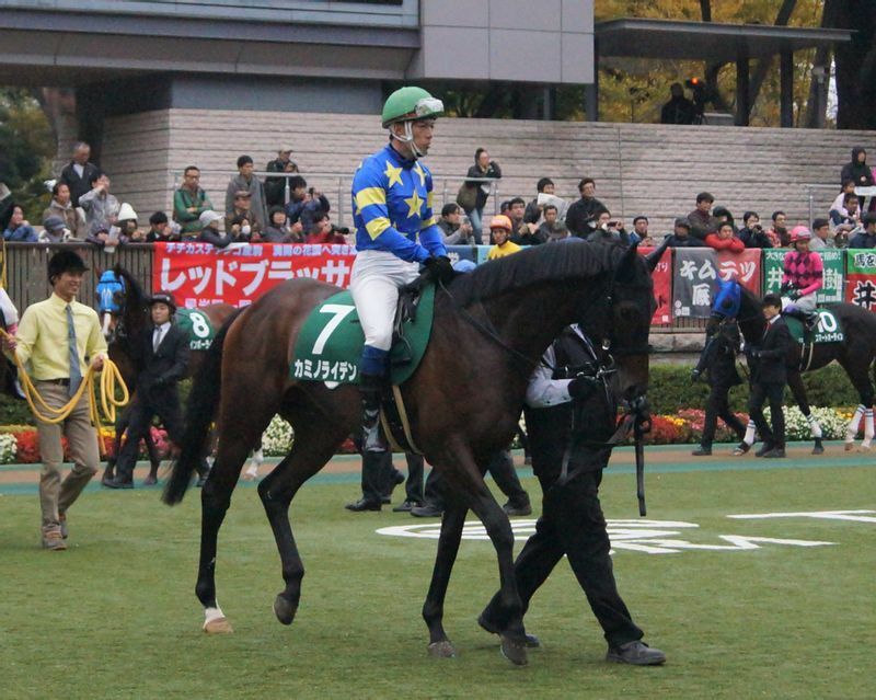 2015年、重賞（東京スポーツ杯２歳Ｓ）に出走した際のカミノライデン
