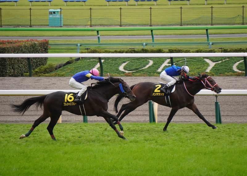 昨秋、東京芝２０００メートルのオクトーバーＳを逃げ切った際のパンサラッサと吉田豊