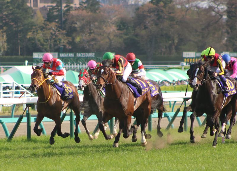 皐月賞のゴール前。中央緑帽が松山跨るアルアイン