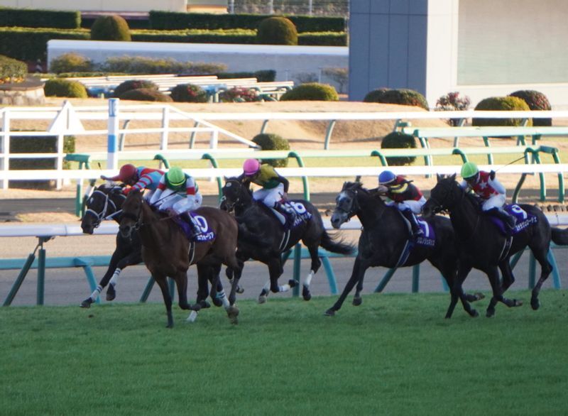 有馬記念、最後の直線の攻防。左端の赤帽が2着のディープボンドで、中央の桃帽が5着のタイトルホルダー
