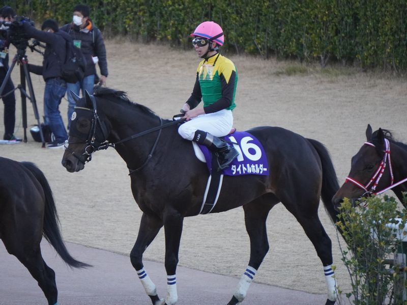 有馬記念出走時のタイトルホルダー