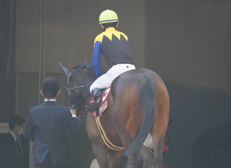 阪神牝馬Ｓのパドックを出て本馬場へ向かうアカイトリノムスメ。残念ながらこのあと馬場入りする事はなく、この度、引退が発表された