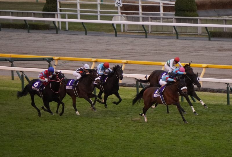 一昨年3着に敗れたジャパンC以来となる東京競馬場だが「良いコース」と杉山は考えていた。左から3頭目の赤帽がデアリングタクト