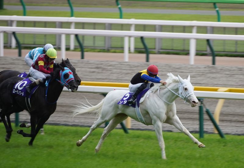 ヴィクトリアマイルのゴール前。抜け出したのは白い馬体のソダシ。デアリングタクト(左奥の白帽)は6着だったが2着とはそれほど差がなかった