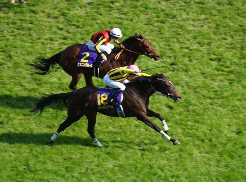 オークスの1、2着スターズオンアースとスタニングローズ。それぞれを管理する高柳瑞と高野は同期で「気の合う仲」だと互いに語る