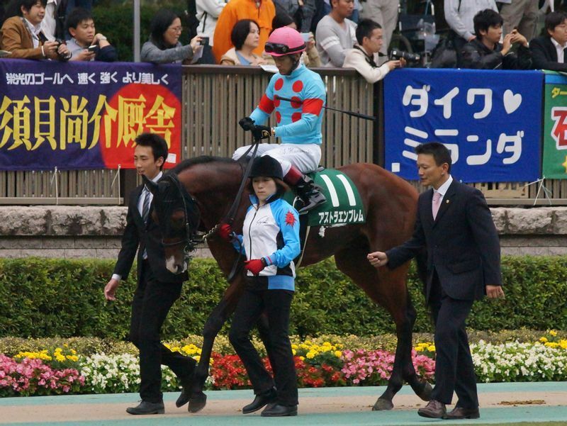 秋華賞前日の新潟で勝利を挙げたアストラエンブレムは秋華賞馬ブラックエンブレムの子供だった。右端が小島（写真は東京競馬出走時）