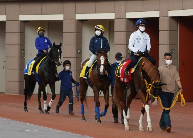 香港スプリント（ＧⅠ）挑戦のため香港入りしている池江泰寿厩舎のジャンダルム（左）。先頭を歩くジャックドールの鞍上はステイゴールドで香港ヴァーズを勝った事のある武豊騎手