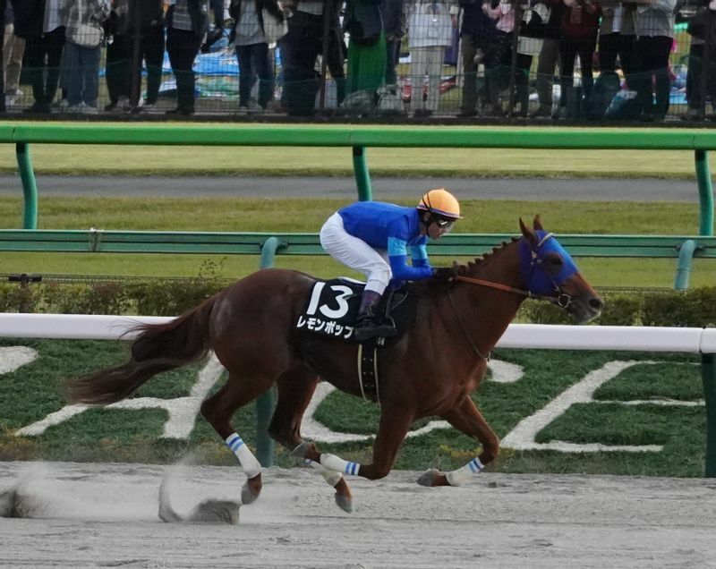 ペルセウスＳでのレモンポップ