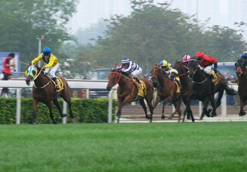 08年香港QEⅡのゴールシーン。左から４頭目の白いシャドーロールがマツリダゴッホ。１番左は勝ったアーキペンコ。草を食べさせていた馬だった。