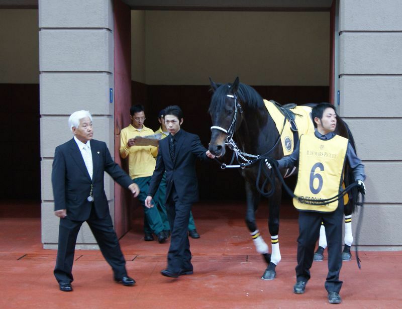 10年、香港遠征したネヴァブションについて香港へ（馬のすぐ左）。左端が師匠の伊藤正徳調教師で、右は青木孝文現調教師
