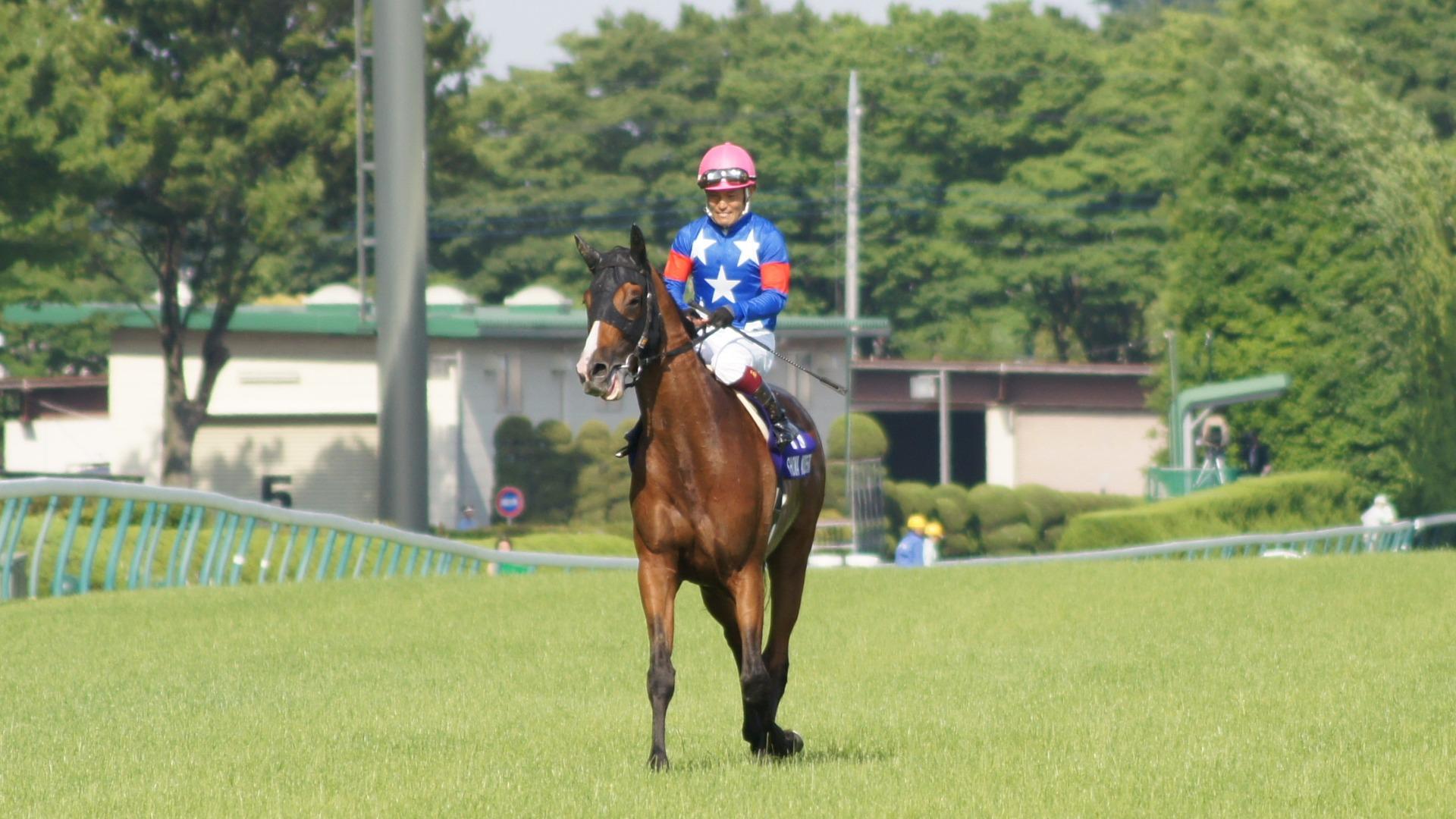 後藤浩輝騎手 アドマイアコジーン 安田記念勝利記念写真直筆サイン 後藤浩輝騎手 アドマイアコジーン 安田記念勝利記念写真直筆