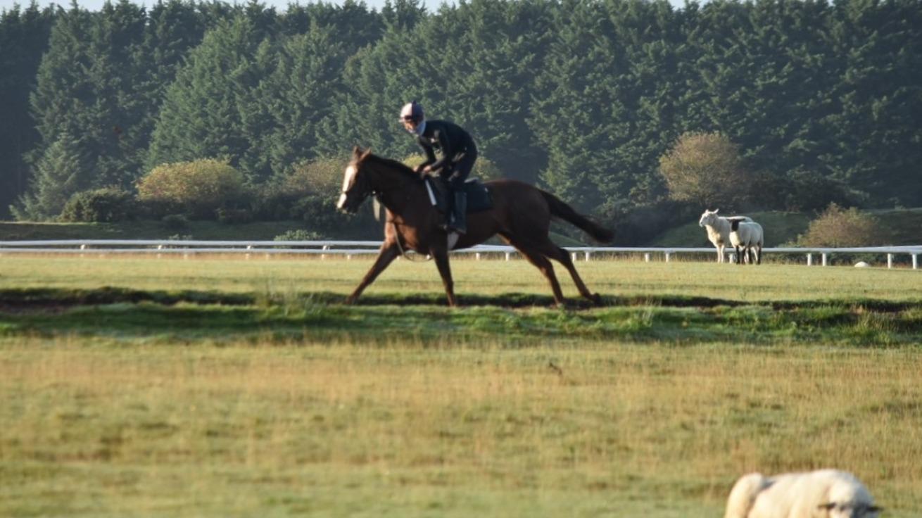 ディープインパクト産駒の英愛ダービー馬に、愛国で跨る若き日本人ホースマン