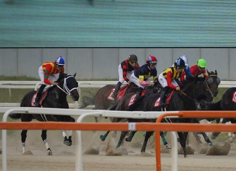 外から先行する日本馬２頭（右の黒水帽がクラウンプライドで、左の青白帽がグロリアムンディ）