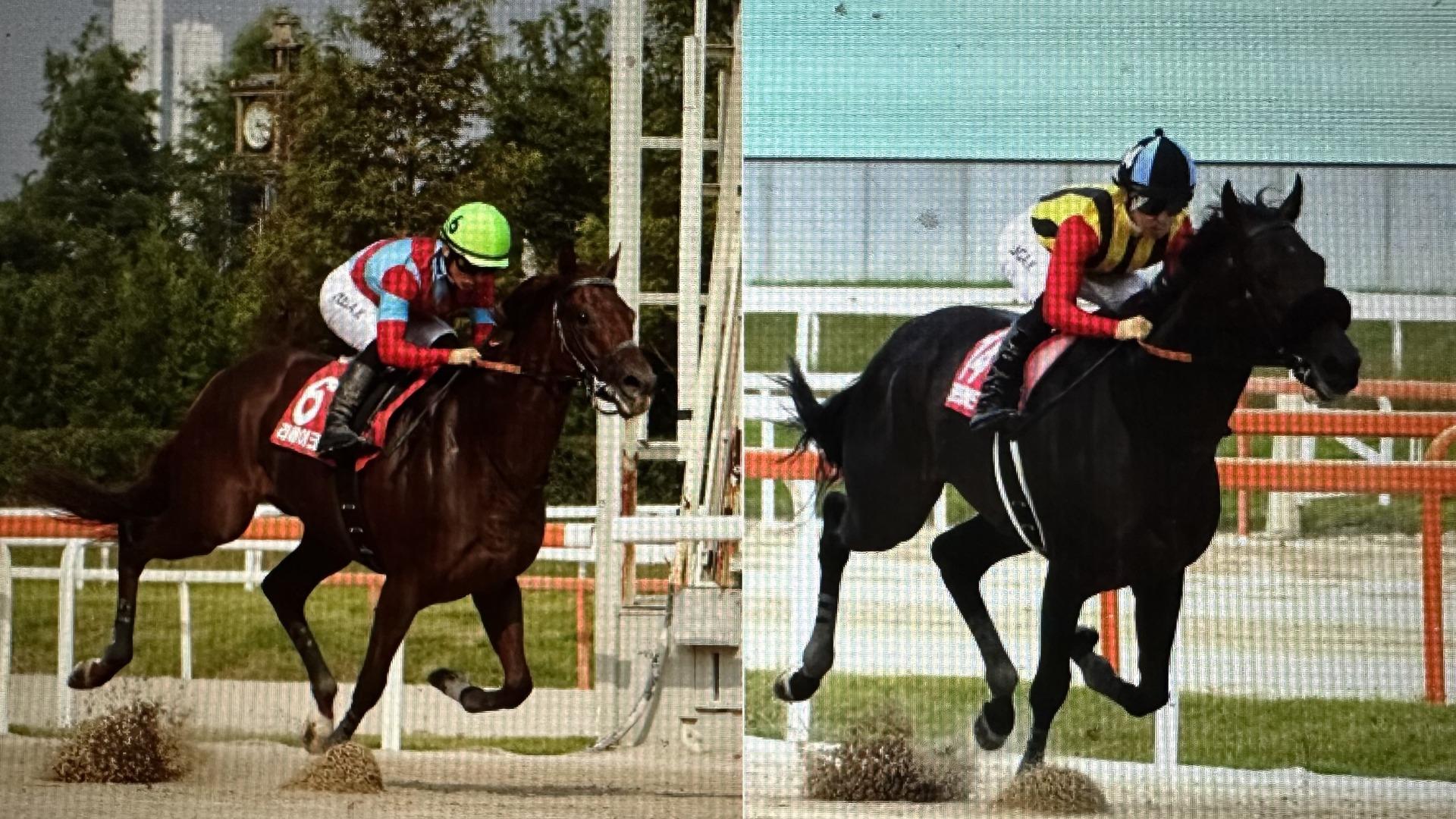 日本馬快勝の韓国競馬、コリアカップとコリアスプリントを、写真で振り...