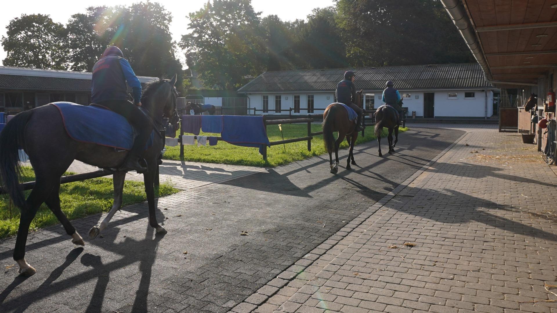 亡き友との約束を果たすため、ヨーロッパの競馬場を訪ねた話