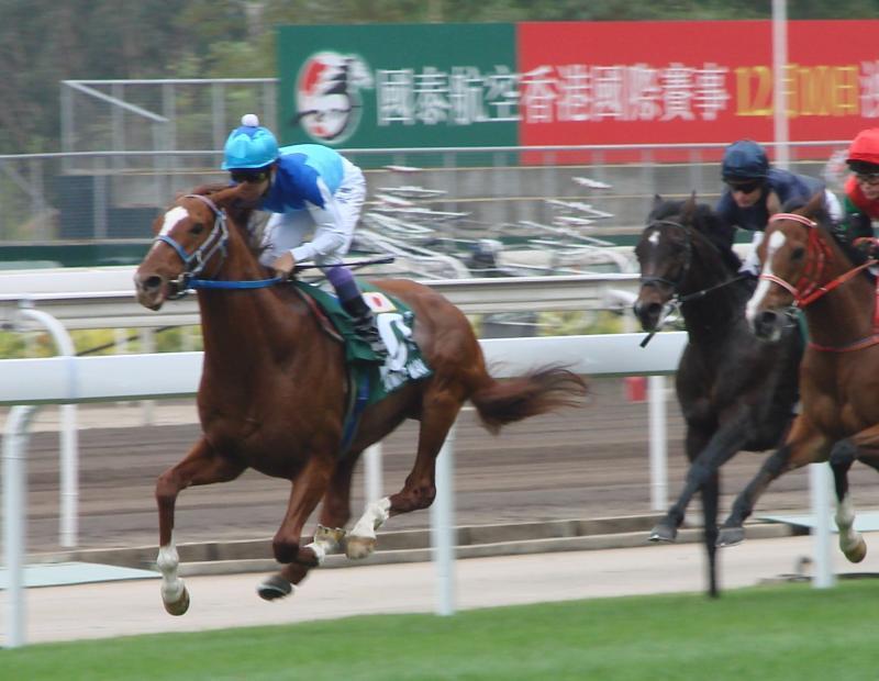 風のように去った菊花賞馬と、武豊、武幸四郎兄弟のエピソード 風のように去った菊花賞馬と、武豊、武幸四郎兄弟のエピソード