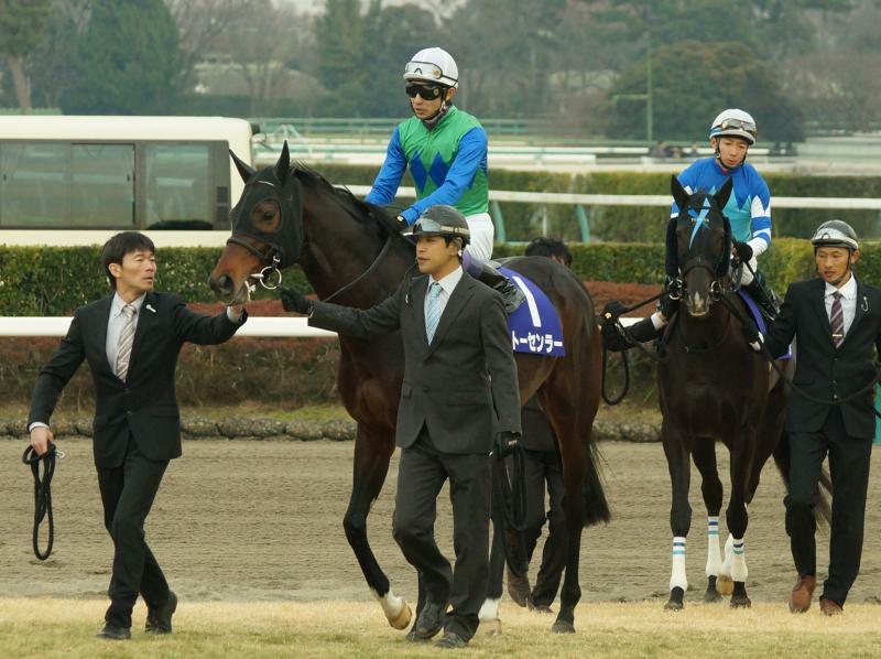 武豊騎手とトーセンラーのコンビ（写真は14年有馬記念）