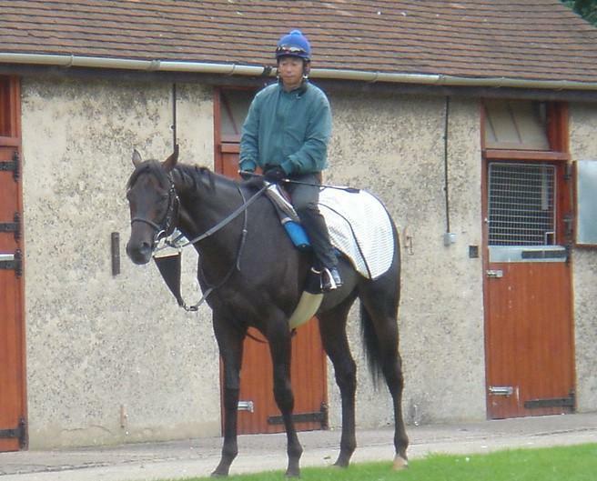 ゼンノロブロイがインターナショナルＳに挑んだ際の、イギリスでの同馬と鹿戸雄一当時騎手