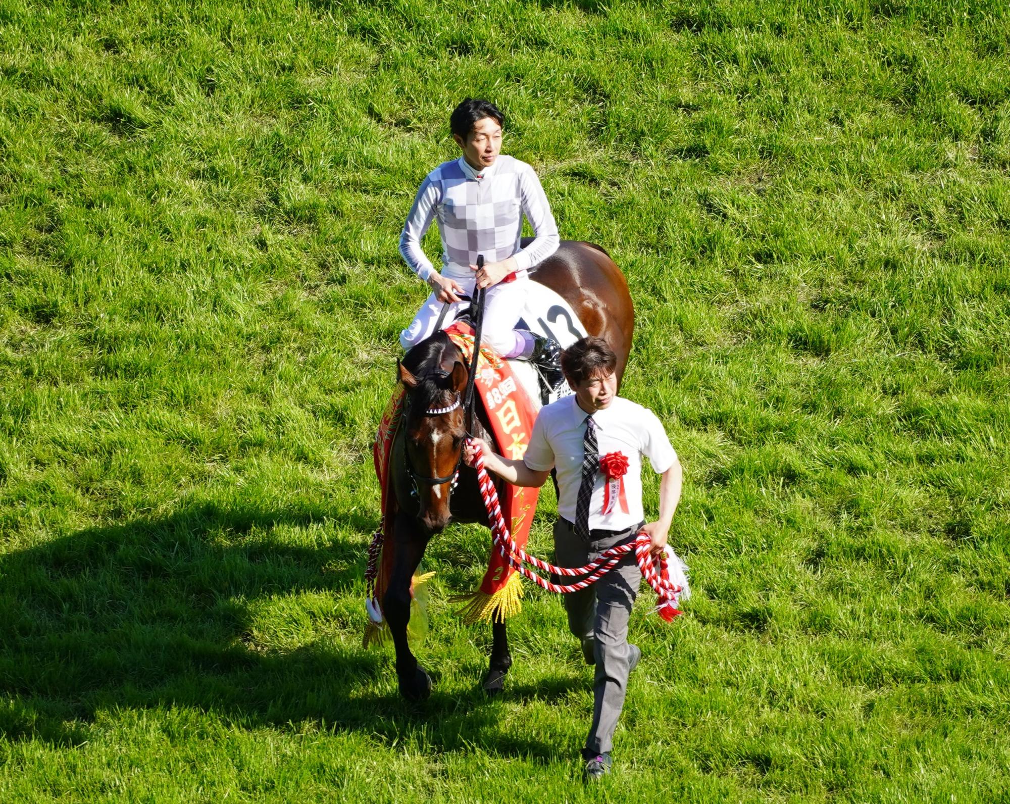 Y12-22-4希少品【オグリキャップ 武豊 有馬記念 1990 優勝記念