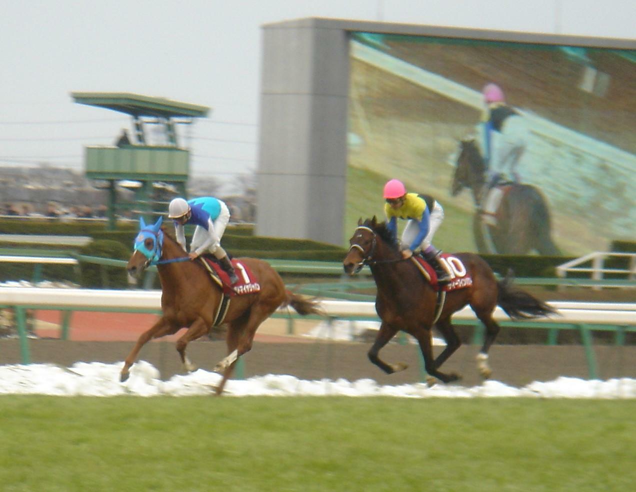 横山典弘騎手はアドマイヤジャパン（左）に騎乗した弥生賞でディープインパクトにひと泡吹かせたかと思える手綱捌きを披露した
