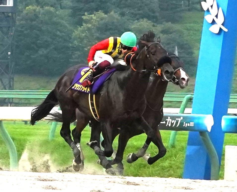 マーキュリーＣを制したクラウンプライドと横山武史騎手