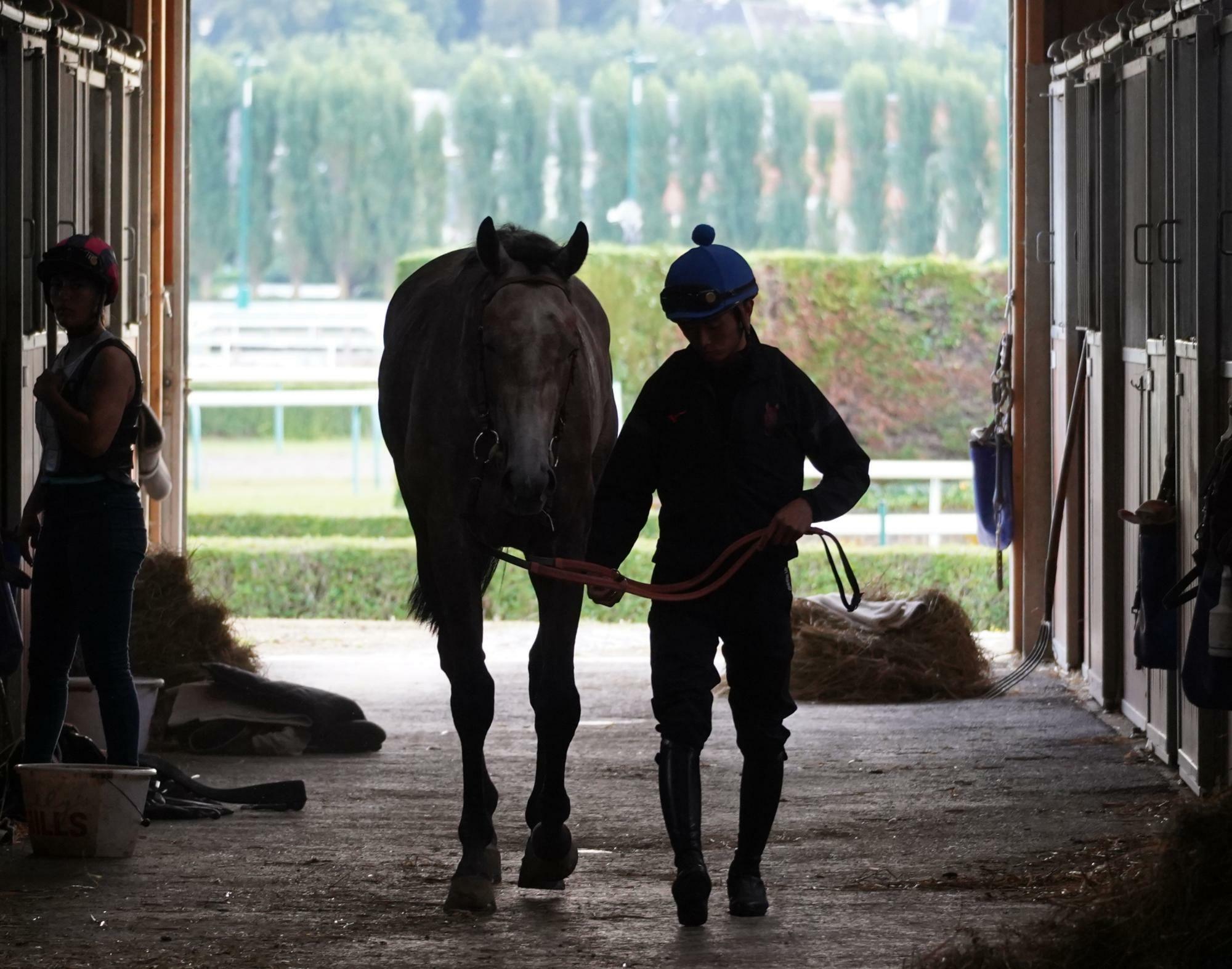 フランスでは馬装やボロを拾ったり、馬体を洗ったりといった事もした