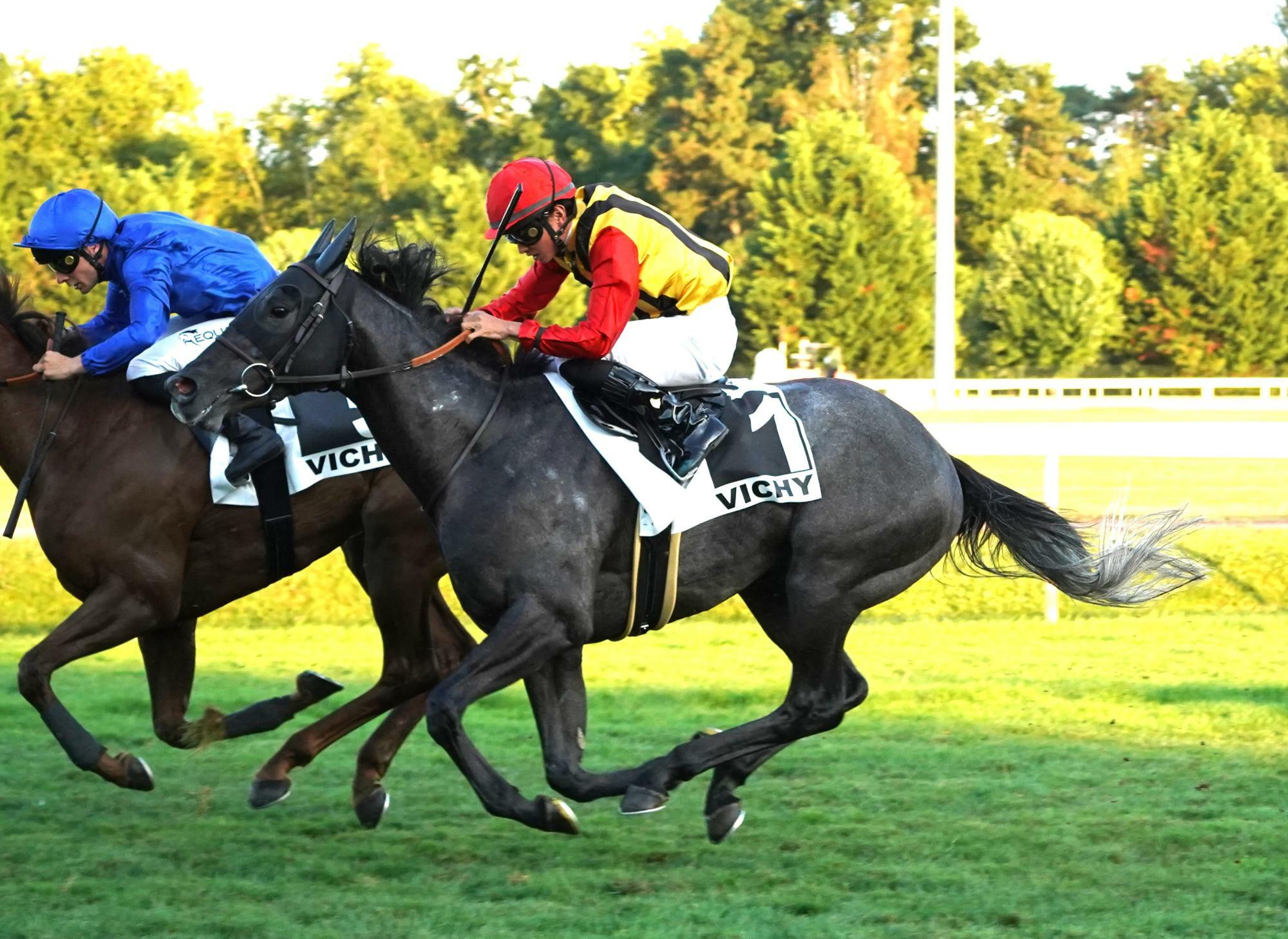 競馬に参戦した際の岩田望騎手