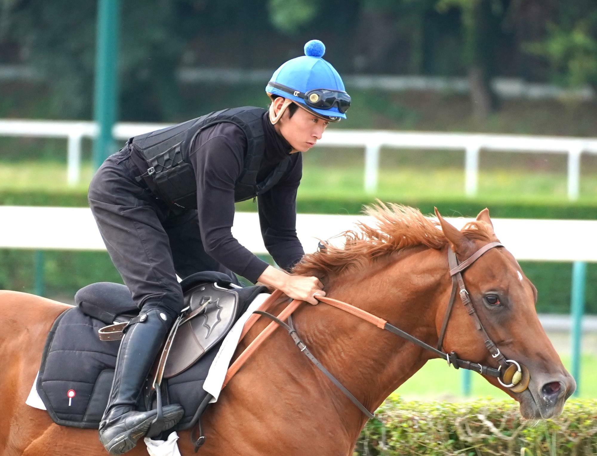 ドーヴィルで毎朝調教に騎乗した岩田望騎手