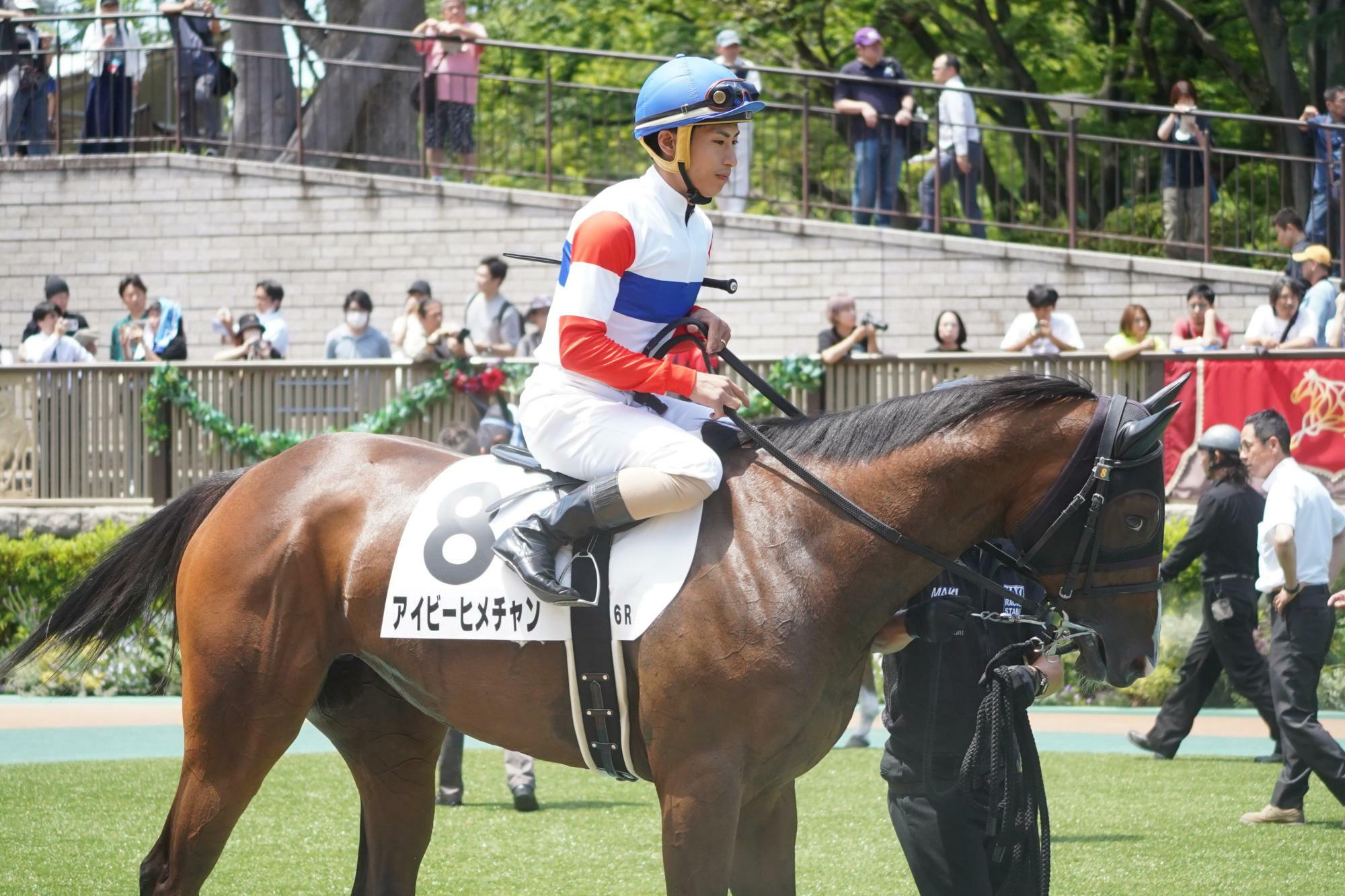 木幡巧也騎手騎乗のアイビーヒメチャンの新馬戦