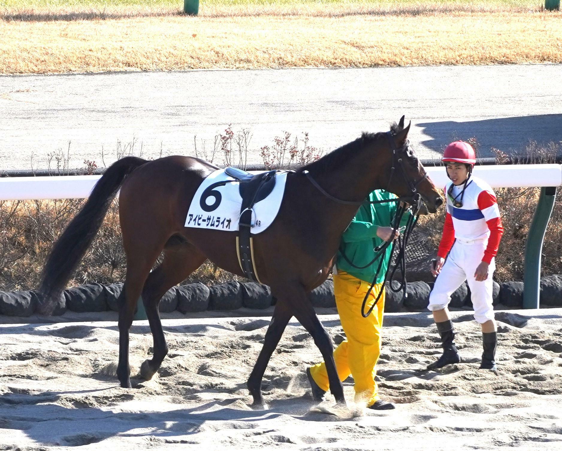 アイビーサムライオの新馬戦は競走中止に終わっていただけに、アイビーヒメチャンでの勝利は嬉しかった