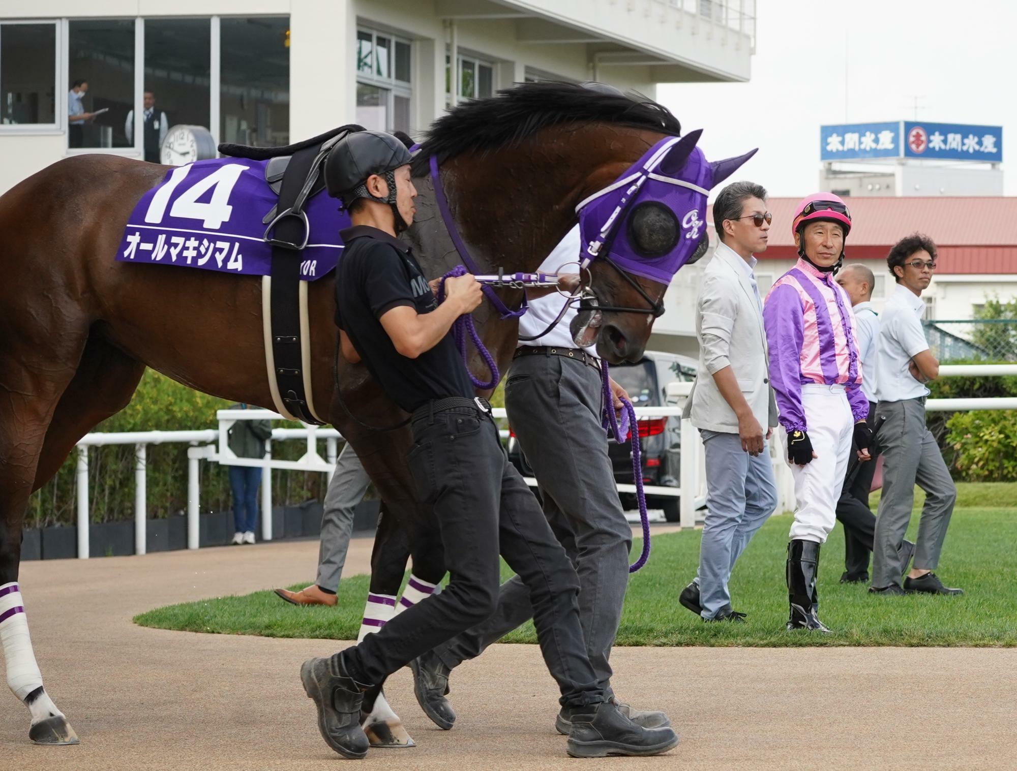 最後に馬場入りしたオールマキシマム。向こうに横山典弘騎手と奥平雅士調教師の姿がみえる