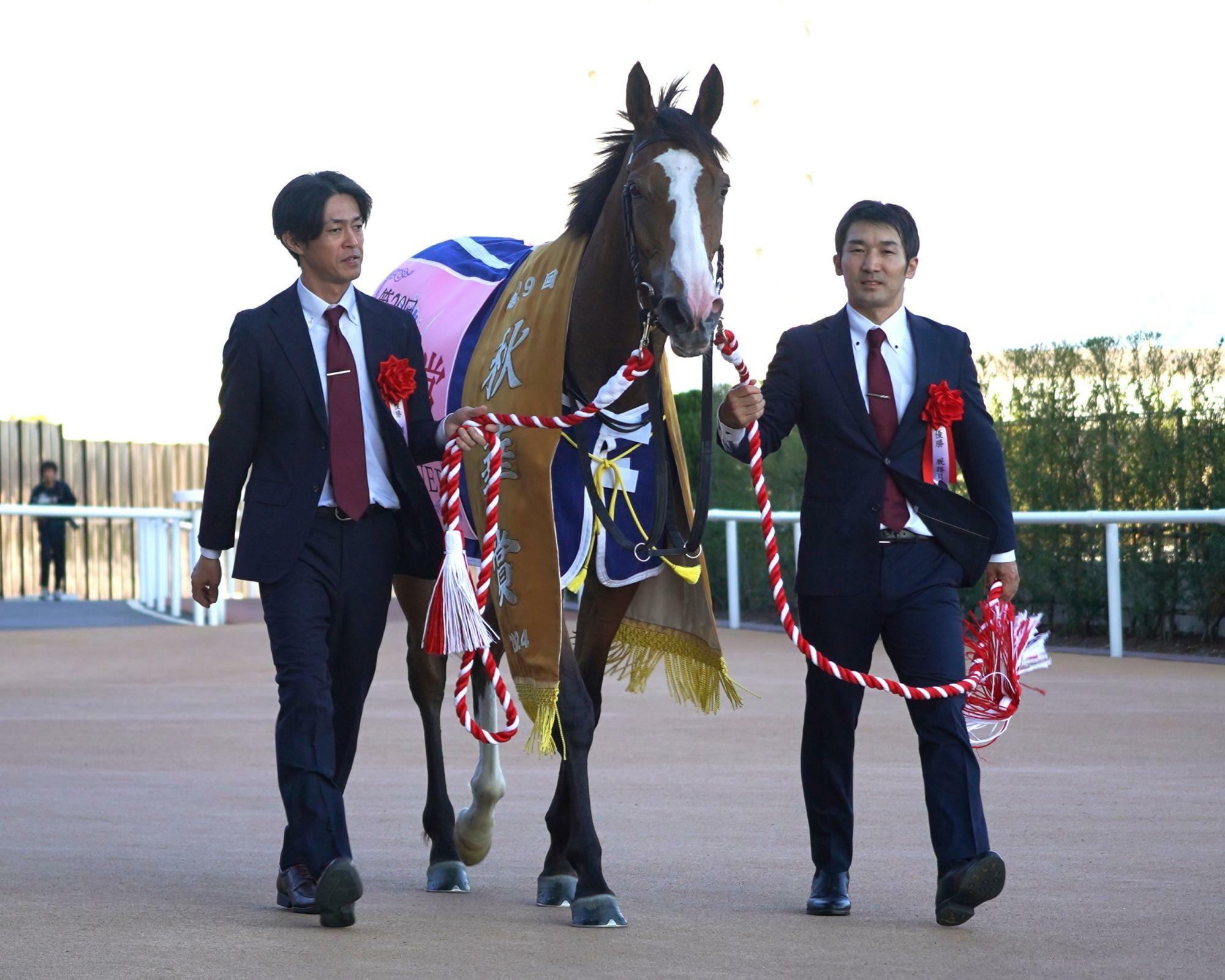 今後が楽しみなチェルヴィニア