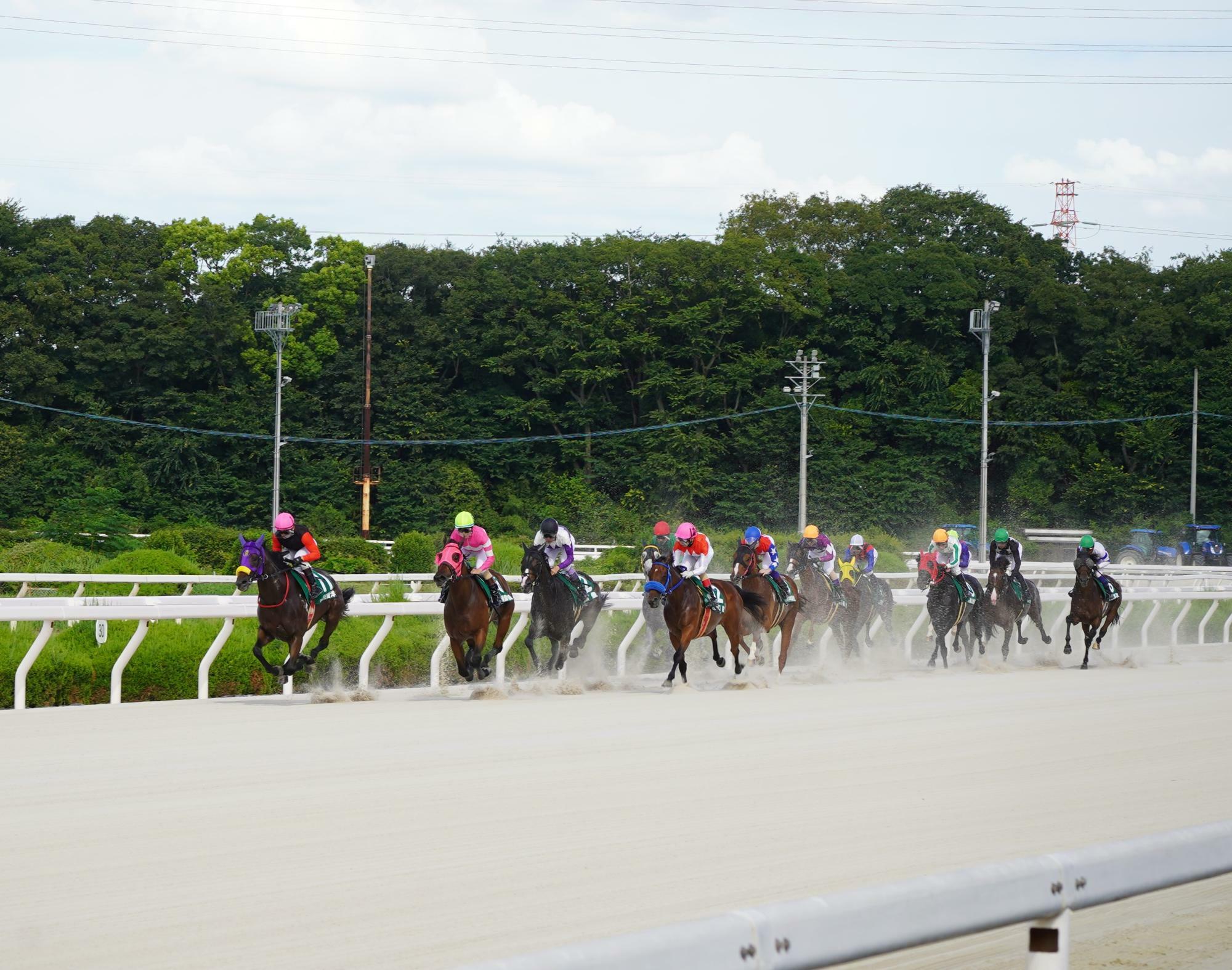 園田競馬場でのレース風景