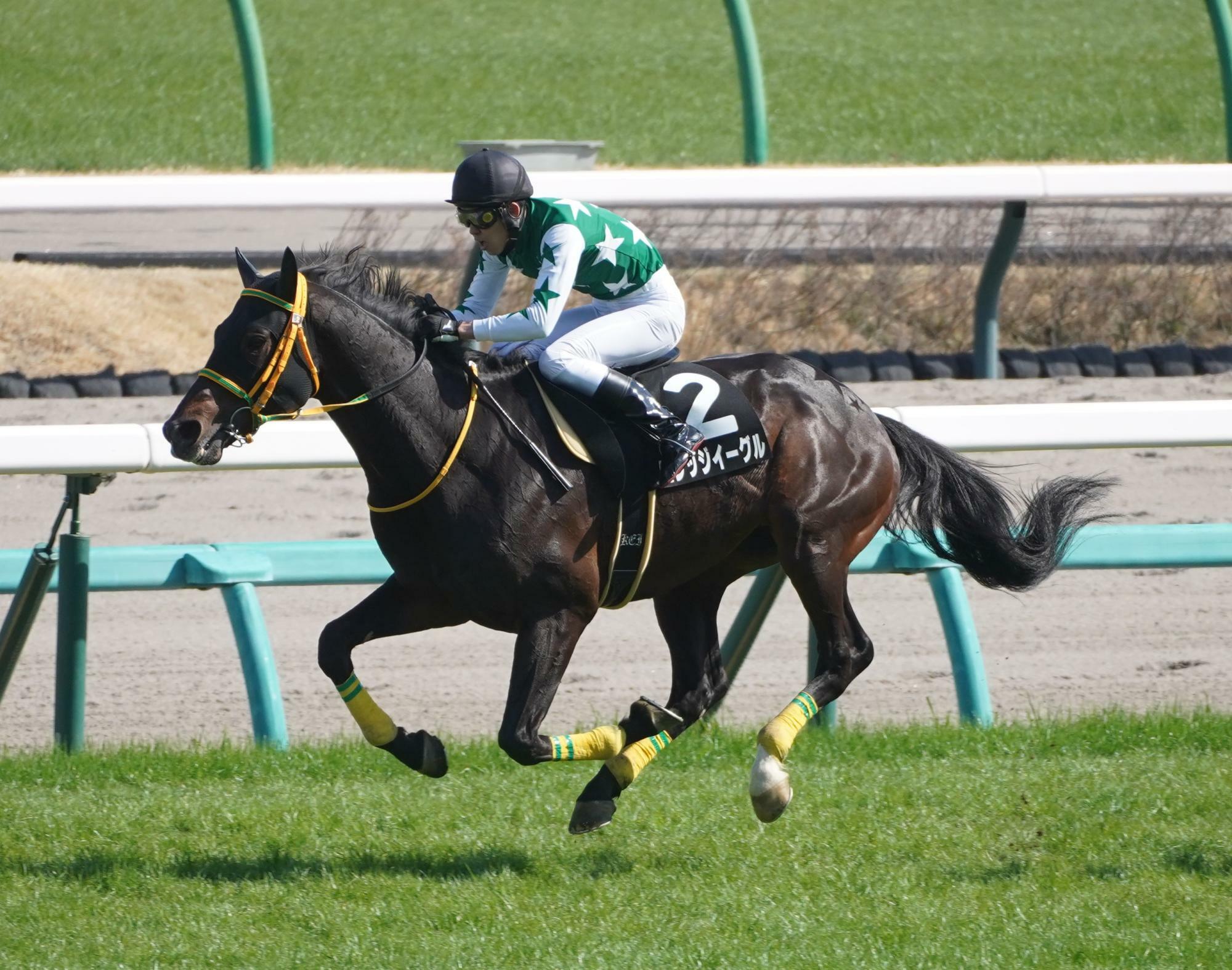 22～24年にかけてペガサスジャンプＳを３連覇してビレッジイーグル（写真は24年の３連覇達成時）