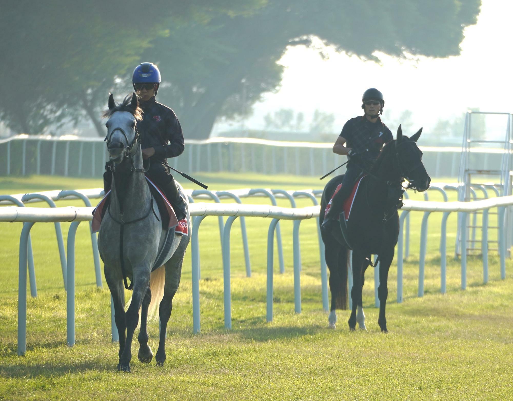 左が団野騎手騎乗のヤマニンサンパ。右はキラーアビリティ