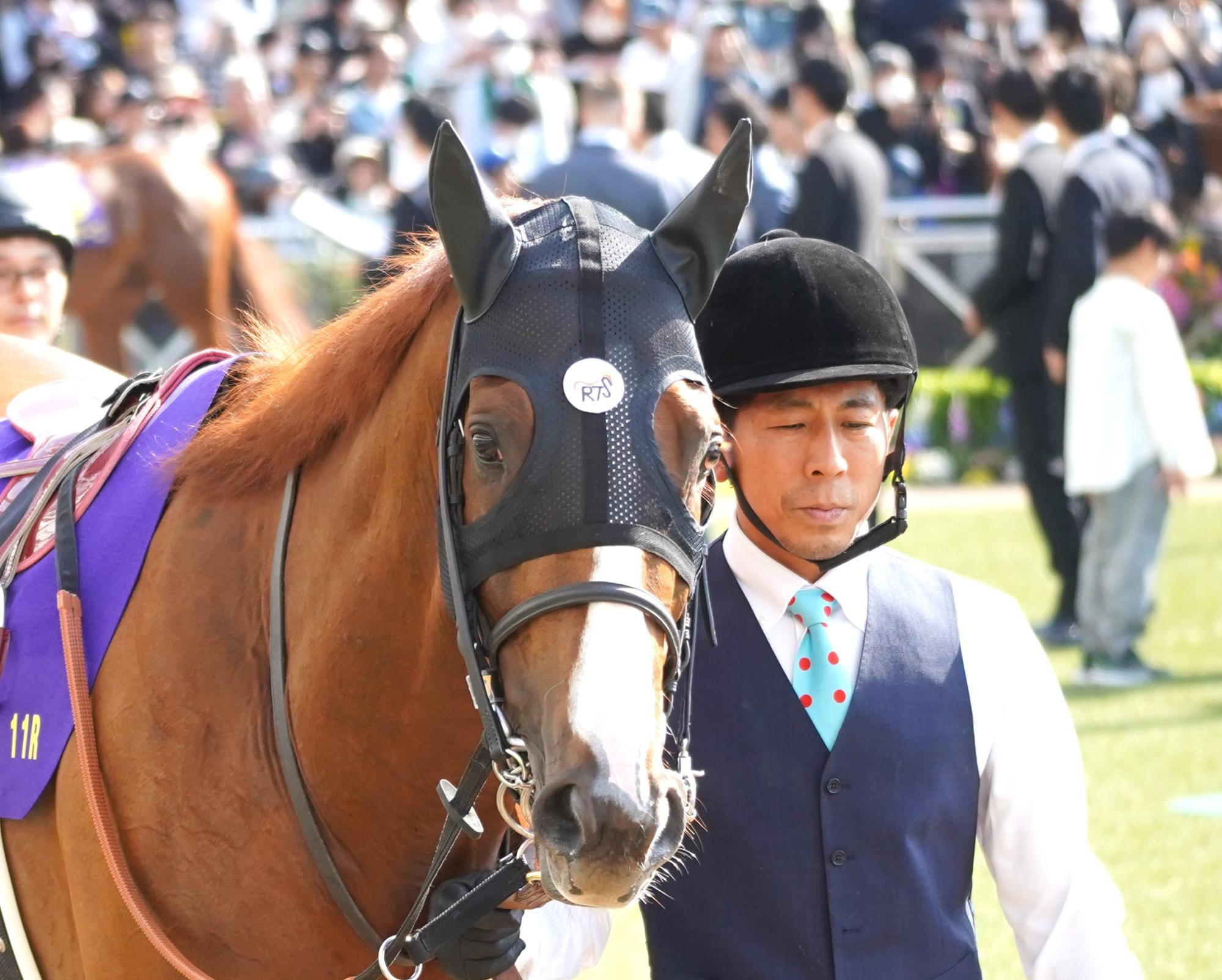 有馬記念でルメール騎手がコンビを組むアーバンシック