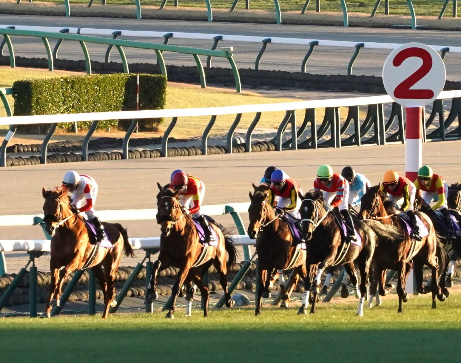 有馬記念、１周目のスタンド前。「大体思った通りの流れになりました」と戸崎騎手