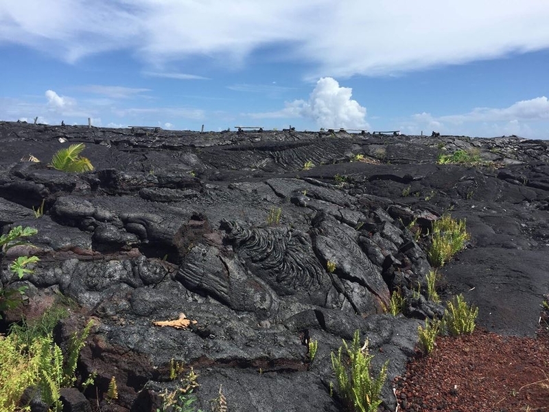 ワイルドなハワイ島の風景。どこまでも続く溶岩に最初は圧倒されて　撮影／佐藤智子
