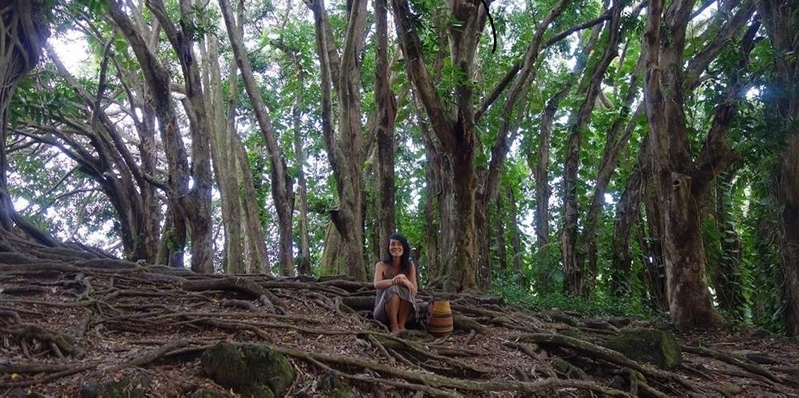 ハワイ島の奥深い森の中。人生経験を通して学び続ける　撮影／遠藤幸恵