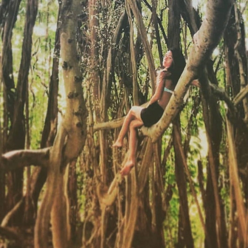 娘のサラちゃんも育ったジャングル。エコな暮らしをしている、自然を大切にしていると、守られてると思っていたけれど　撮影／ケイコ・フォレスト