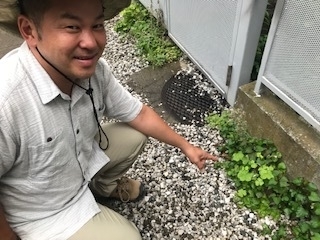 道端の草や芽につい目がいってしまう 撮影/佐藤智子