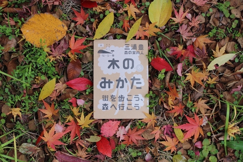 三浦さんの著書『木のみかた　街を歩こう、森へ行こう』（ミシマ社）撮影／Yutaka Miura 