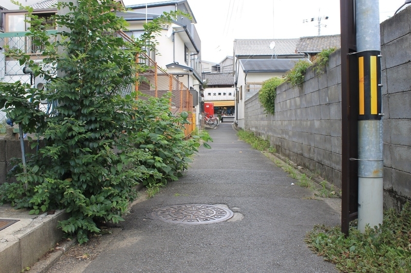 路地も空き地も工事現場も木のワンダーランドに思える　撮影／Yutaka Miura 