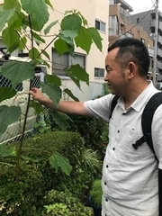 三浦さんと歩くと街の中の葉、芽、枝にも目がいくようになる　撮影／佐藤智子