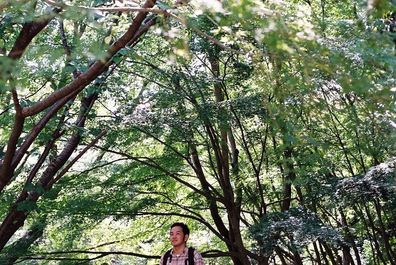 木がいるから寂しくない　撮影／Minako Yoshida