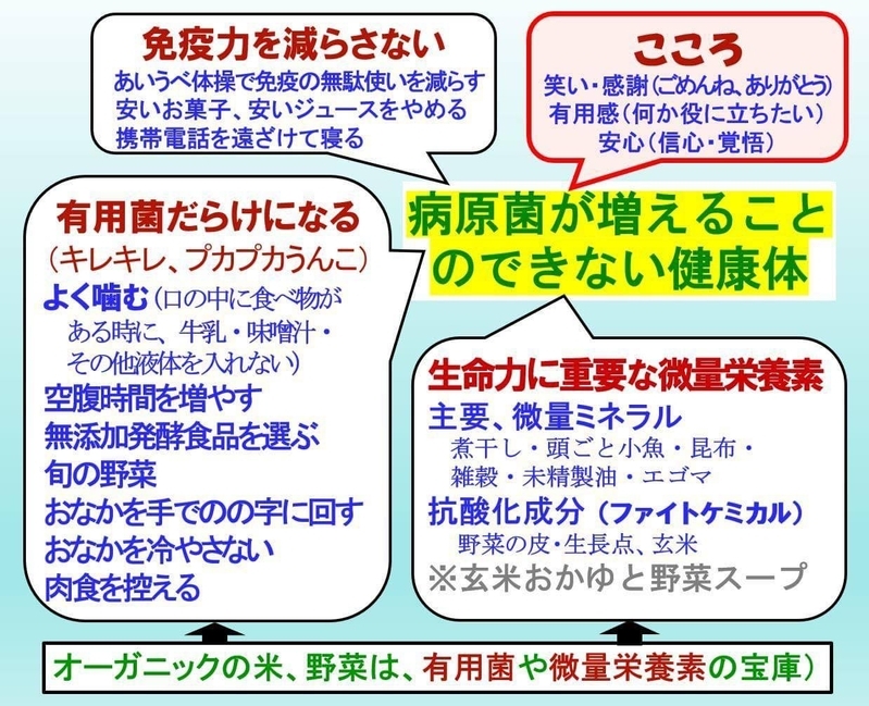 吉田さんが講演会などで教えている食べ方のコツ（資料提供／吉田俊道）