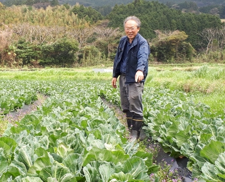 野菜作りに没頭する毎日を送る吉田さん（写真提供／吉田俊道）