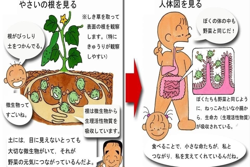 吉田さん講演会などで伝えている「野菜と人間は同じ」という内容（資料提供／吉田俊道）