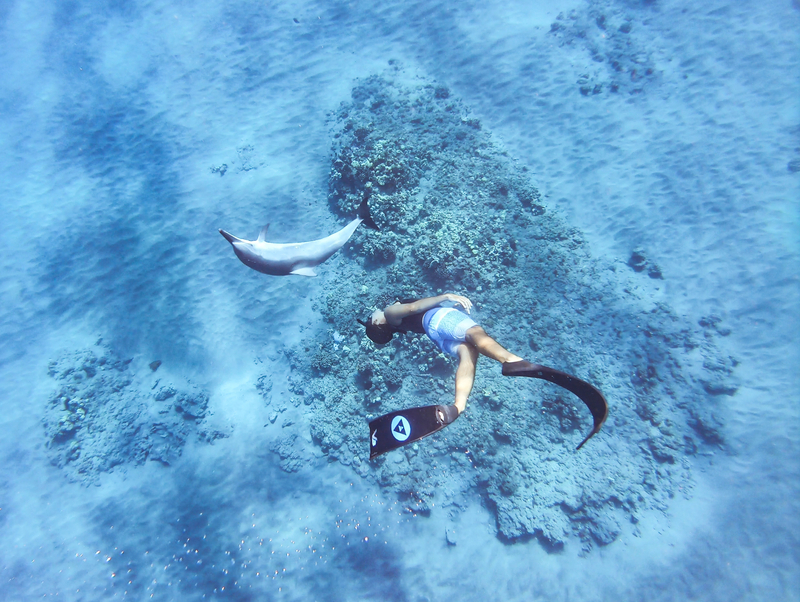 イルカと一緒にダンスしたり、遊んだり（写真提供／Dolphin Eyes）