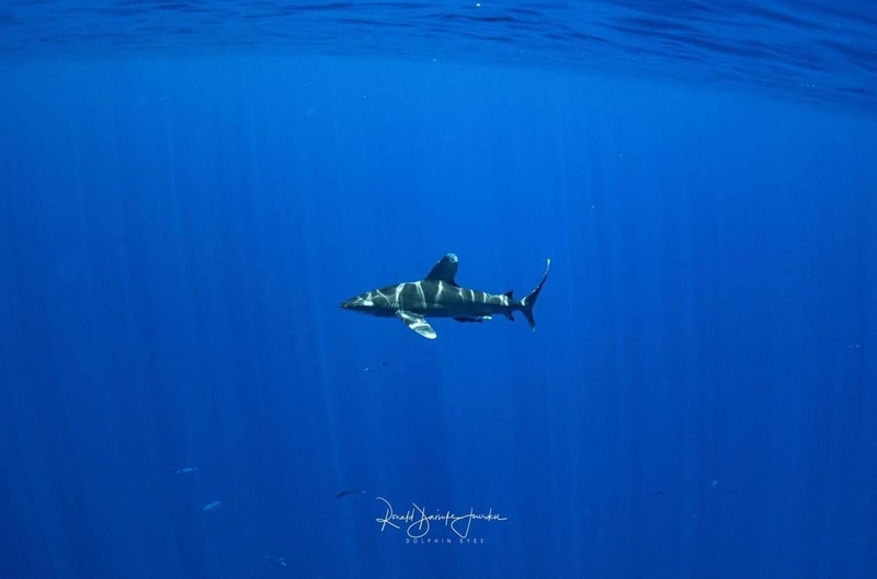 人生がついに動き始めた(写真提供/Dolphin Eyes)
